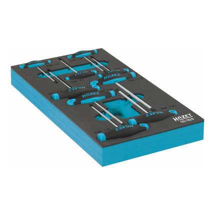 HAZET tool module 163-182/9 9-piece ( 8000465896 )